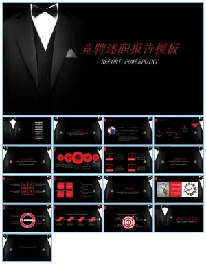 个人简历竞聘述职报告ppt模板预览图
