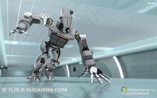 金属机器人大黄蜂经典动作 金属机器人大黄蜂经典动作