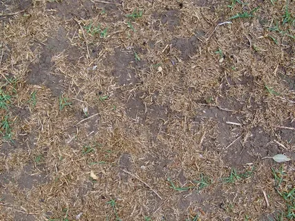 地面背景图片 地面背景图片