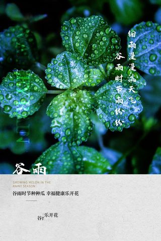 谷雨海报二十四节气谷雨广告
