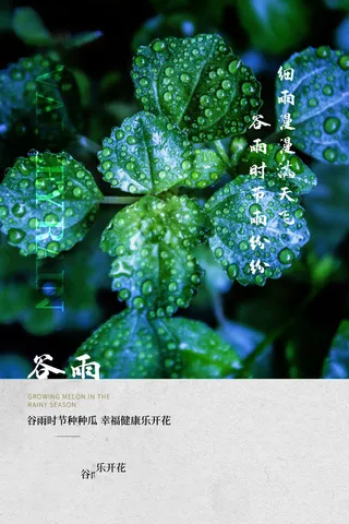 谷雨海报二十四节气谷雨广告