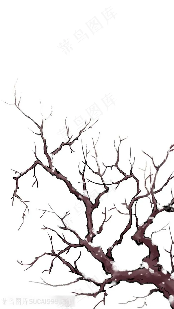 冬季积雪树枝图片