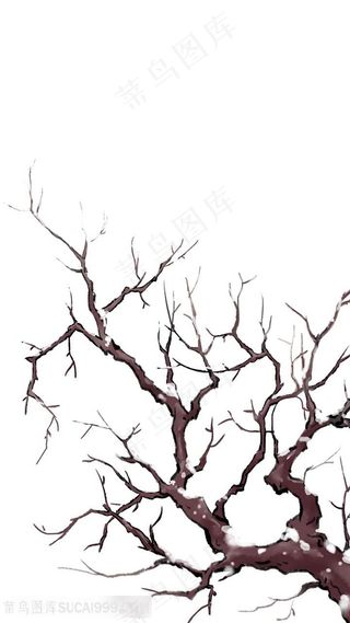 冬季积雪树枝图片