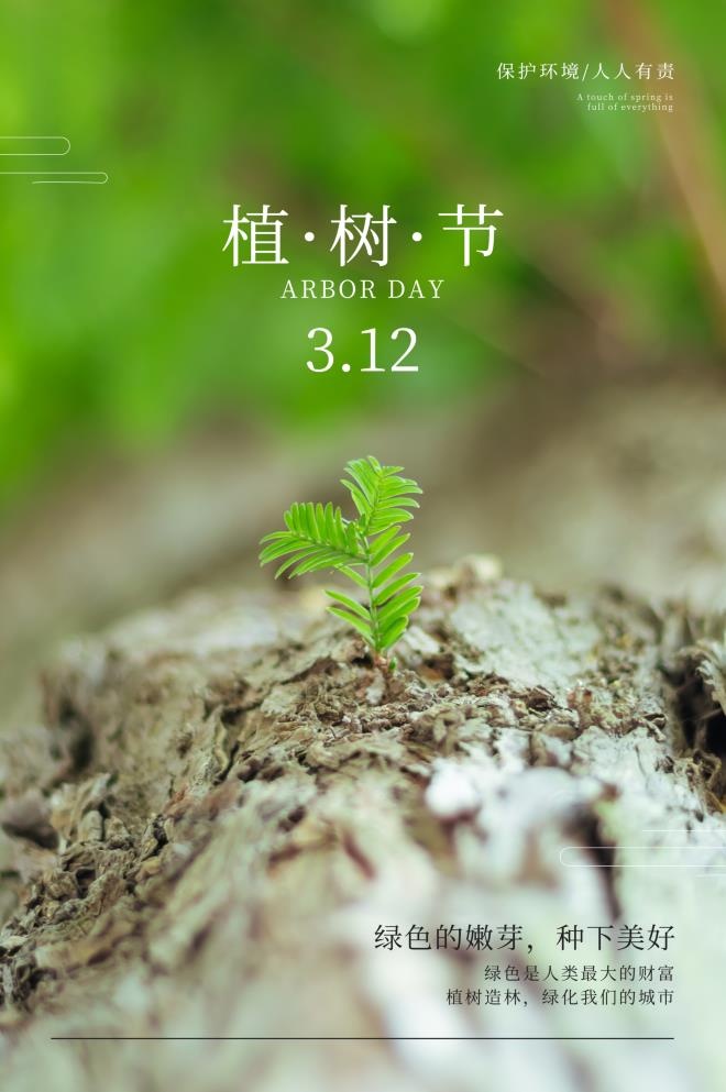 植树节3.12海报