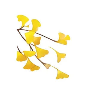 银杏叶树枝免抠