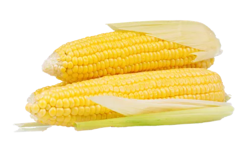 玉米 (16)超市商品白底图免抠实物摄影png格式图片透明底
