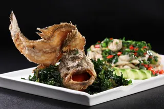 H00069青龙出海 (1)