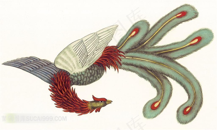 中国画凤凰图
