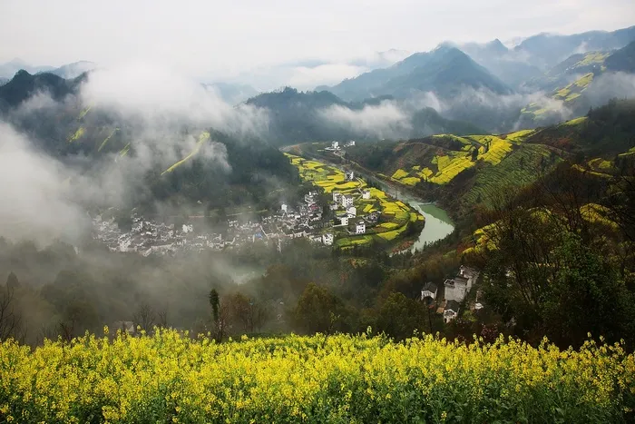 安徽石潭油菜花风景图片-第7张