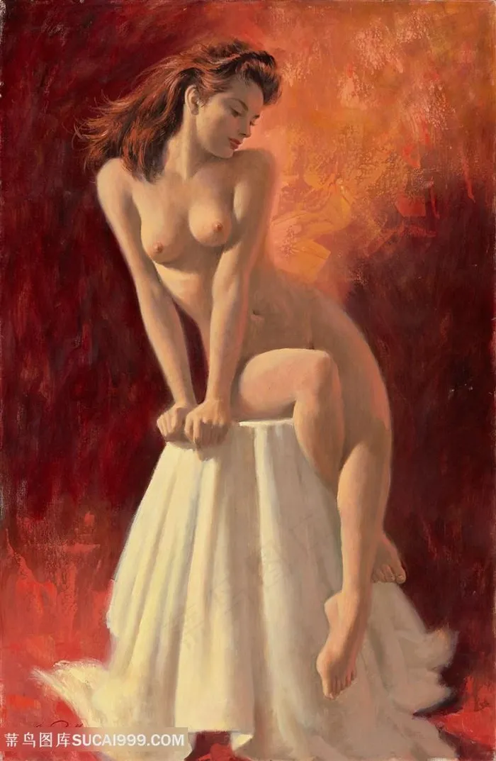 欧美*美人裸体艺术插画
