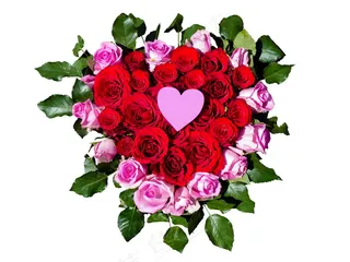 浪漫心形玫瑰图片