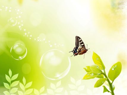 蓝天白云蝴蝶花草风景