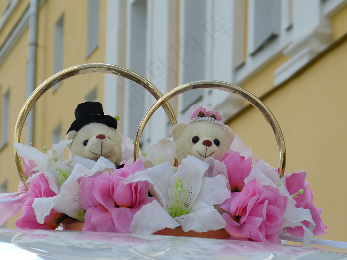 泰迪熊婚礼图片