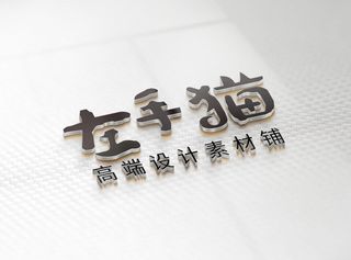LOGO样机展示效果