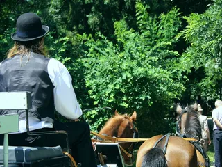 城市壁纸之马车