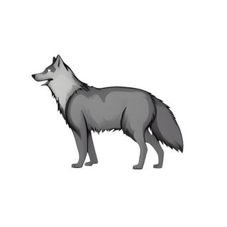 狼动物免抠