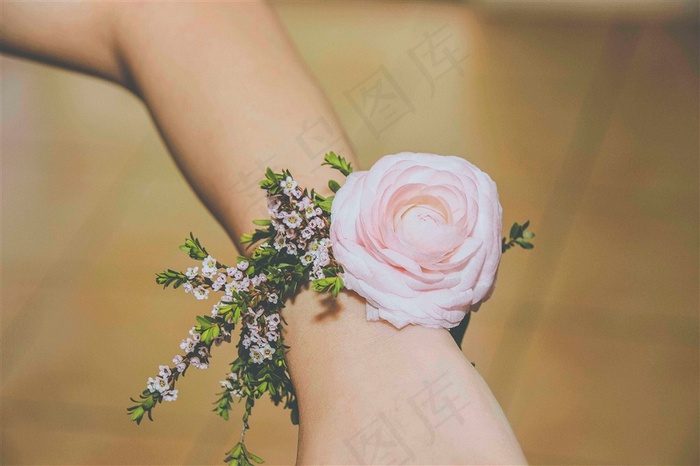 淡雅的玫瑰花素材图