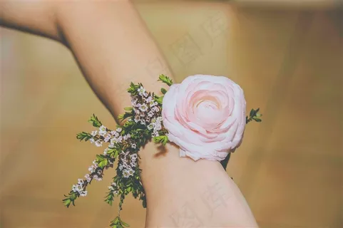 淡雅的玫瑰花素材图 淡雅的玫瑰花素材图