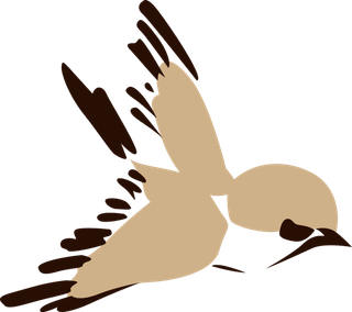 简约风手绘素描动画小鸟鸟儿免扣PNG图片素材 (75)