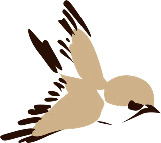 简约风手绘素描动画小鸟鸟儿免扣PNG图片素材 (75)