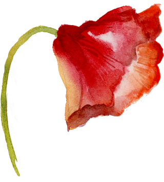 鲜花玫瑰免扣素材