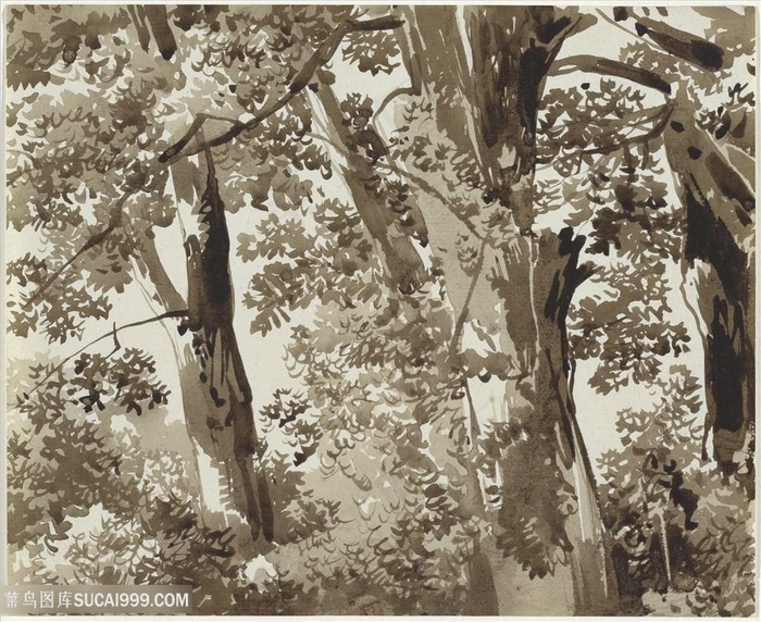 树林简约装饰画