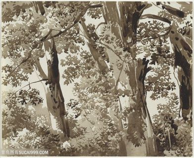 树林简约装饰画