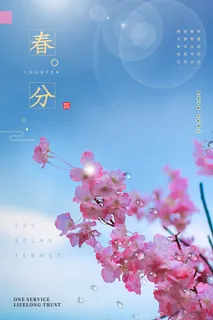 春分海报8