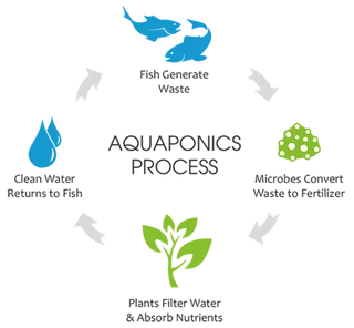 农业图标素材现代农业