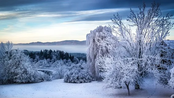冬天白雪背景风景 冬天白雪背景风景