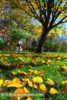 高清风景图片素材