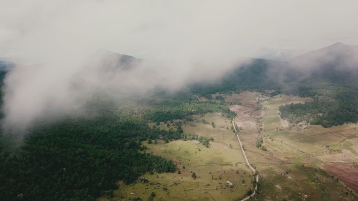 带道路的树木繁茂景观的鸟瞰图