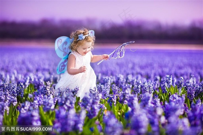可爱的女孩写真与花海儿童图片