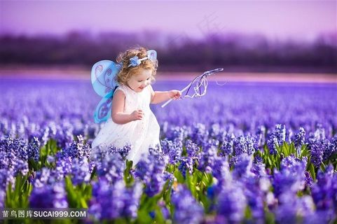 可爱的女孩写真与花海儿童图片