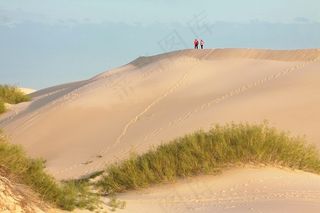 沙丘下一排绿色植物