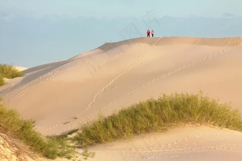 沙丘下一排绿色植物 沙丘下一排绿色植物