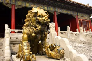 石狮铜狮造型图北京故宫摄影图片