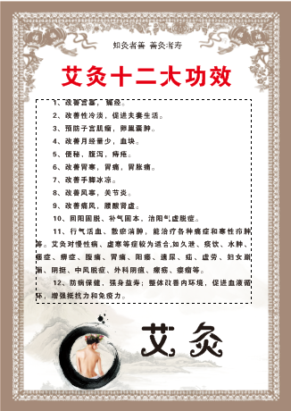 艾灸十二大功能cdr矢量模版下载