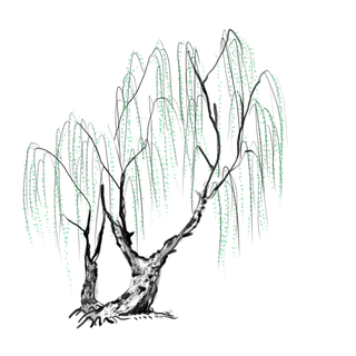 春天绿色春季水墨柳树柳条柳叶春季海报设计PNG免扣素材