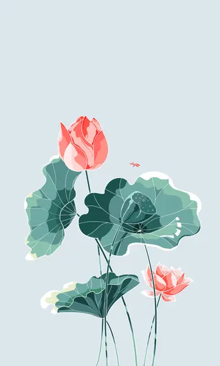 国风元素荷花夏季