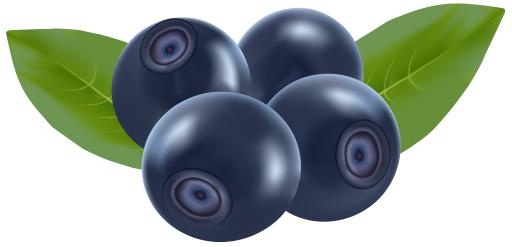 蓝莓 PNG免抠(8000x3870)