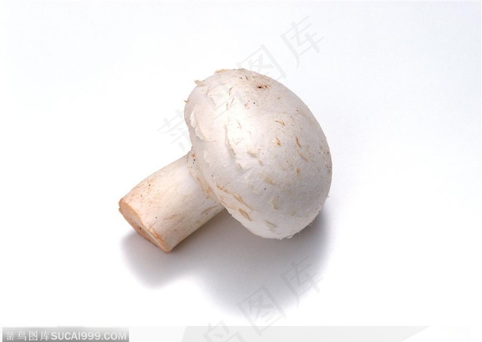 蔬菜瓜果-小巧的白蘑菇