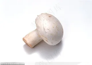 蔬菜瓜果-小巧的白蘑菇