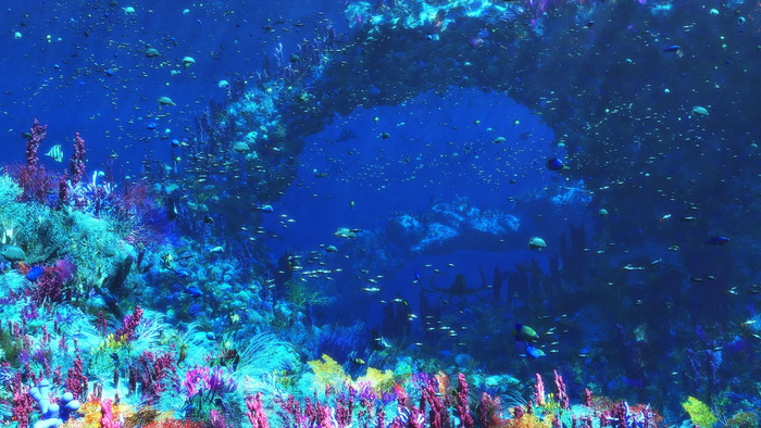 海洋海底珊瑚海水鱼群高清背景