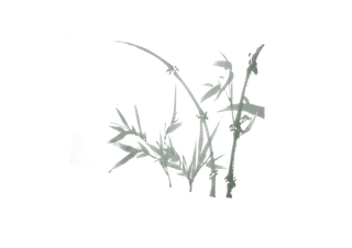 竹子水墨画中国风国画墨水书法竹子画