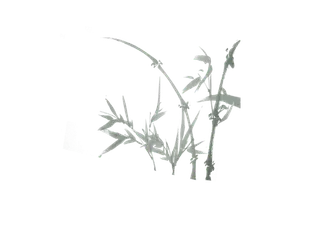 竹子水墨画中国风国画墨水书法竹子画