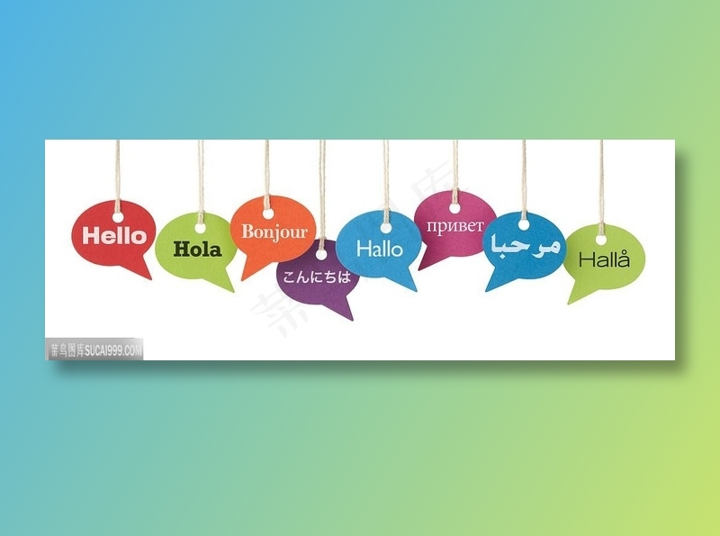 各种语言吊牌组合