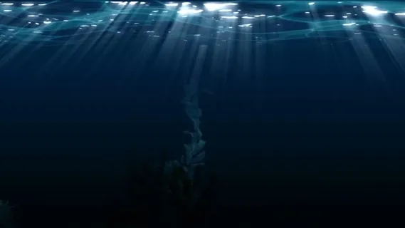 水下, 水, 表面, 光, 梁, 阳光, 潜水, 新鲜的