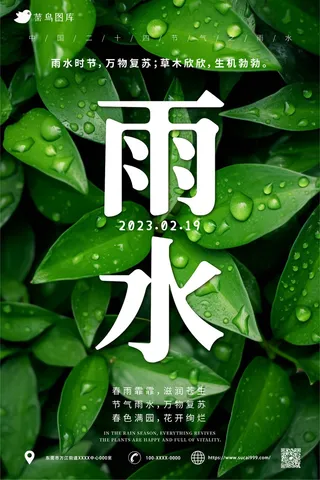 绿叶树枝雨滴 简约风 雨水节气海报