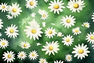 白色小雏菊花绿草背景插画